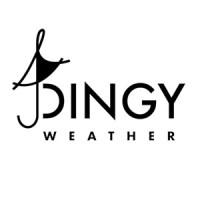Dingy Weather logo - Similar company to Rubin Production