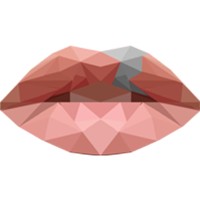 Wij hebben een schisis logo - Similar company to Schisis Nederland