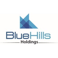 BlueHills Group logo - Similar company to Param Solutions