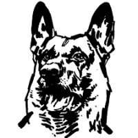 Ziarul de Garda logo - Similar company to Austromar