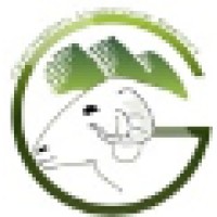 Georgian Livestock Export Ltd