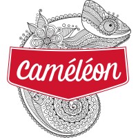 Caméléon logo - Similar company to Sykhaï