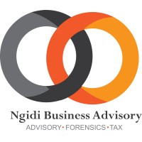 Ngidi Business Advisory logo - Similar company to Axcelerate