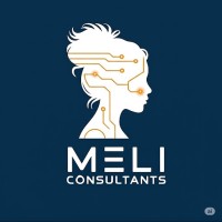 Meli Consultants LLC logo - Similar company to Symantek, Llc.