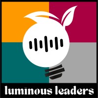 Luminous Leaders logo - Similar company to Bedesh It Solutions