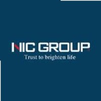 Nic Group