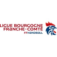Ligue de Bourgogne Franche Comté de Handball logo - Similar company to Digicam Learning