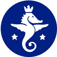 Bucur | Consulting logo - Similar company to Second Star Technologies