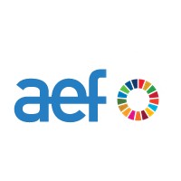 Asociación Española de Fundaciones logo - Similar company to Pymef Asociación Española De Pequeñas Y Medianas Fundaciones