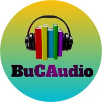 BuCAudio logo - Similar company to Cluas