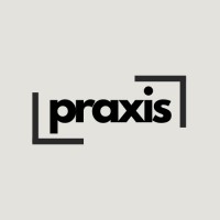 Praxis logo - Similar company to Moodswings Network