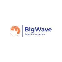 BigWave Sales & Consulting logo - Similar company to Cx Source Llc
