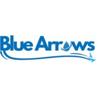 Blue Arrows logo - Similar company to We Are Changemakers