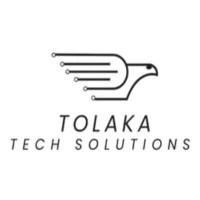 Tolaka Tech Solutions logo - Similar company to Delphi Webtech