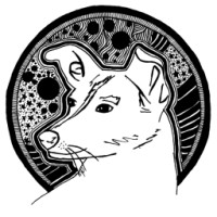 Echo Sierra Studio