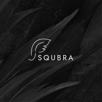Squbra SoftTech logo - Similar company to Ndsofttech Solutions