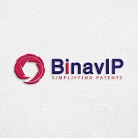 BinavIP logo - Similar company to Trizteck Knowledge Solutions Llc