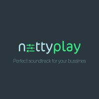 Netty Play logo - Similar company to Eidos Doo