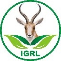 Ijemadec Global Resources Limited logo - Similar company to Forasol