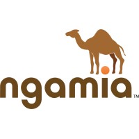 NgamiaAfrica logo - Similar company to Qet Systems