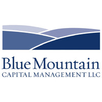 BlueMountain Capital Management logo - Similar company to Fgic