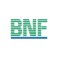 BNF Group logo - Similar company to Planet Nine