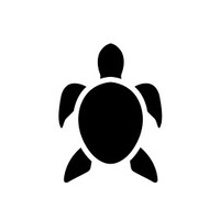 Black Turtle logo - Similar company to Black Turtle