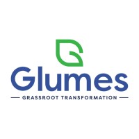 Glumes IT Solutions logo - Similar company to Vli Technologies