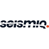 seismiq logo - Similar company to Aura Fx Studios