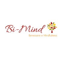 Bi-Mind logo - Similar company to Schoolvisor