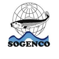 SOGENCOWEB logo - Similar company to Safimer