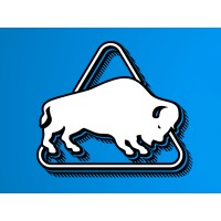 Buffalo.nl B.V. logo - Similar company to Buffalo.Nl