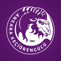 Ankara Keçiörengücü logo - Similar company to Behind The White Lines