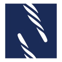 The Narwhal Group logo - Similar company to Weathernet