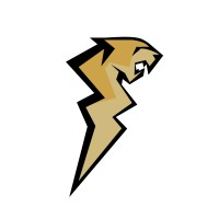 UCCS Mountain Lion Motorsports