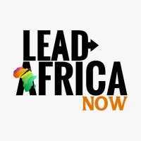 Lead Africa Now logo - Similar company to Fibrenew Quakertown