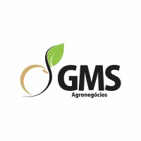 GMS Agronegócios logo - Similar company to Mvr