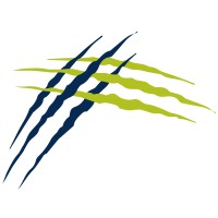 FELINE Pty Ltd logo - Similar company to The Decisive Point