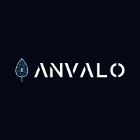 Anvalo logo - Similar company to Nyc Node