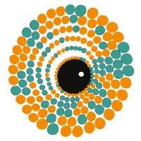 Chameleon Software logo - Similar company to Abc Software