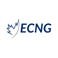 ECNG Energy Group logo - Similar company to Wily Global