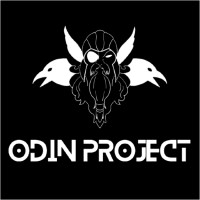 Odin Agency logo - Similar company to Adept Digital