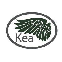Kea Construction Technology logo - Similar company to Wyreframe