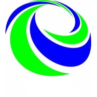 DWI Consulting Private Limited logo - Similar company to Spatial Decisions