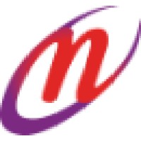 Network Aviation logo - Similar company to Avier Flight Simulator