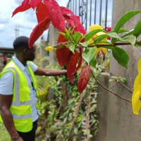Landscape Uganda logo - Similar company to Spmg Green Cleaning