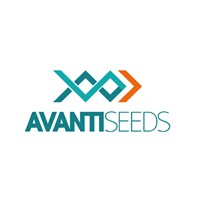 Avanti Seeds