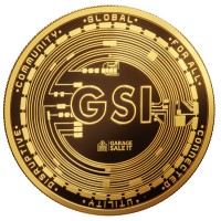 GSI Project logo - Similar company to Vortex Infotech