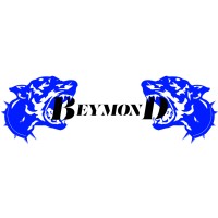 Beymond logo - Similar company to Inalbis Management S.L.