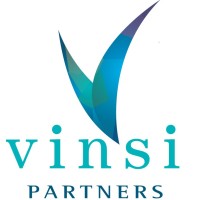 Vinsi Partners logo - Similar company to Cte Coal